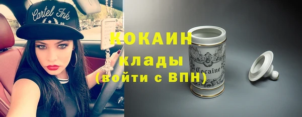 ГАЛЛЮЦИНОГЕННЫЕ ГРИБЫ Абаза