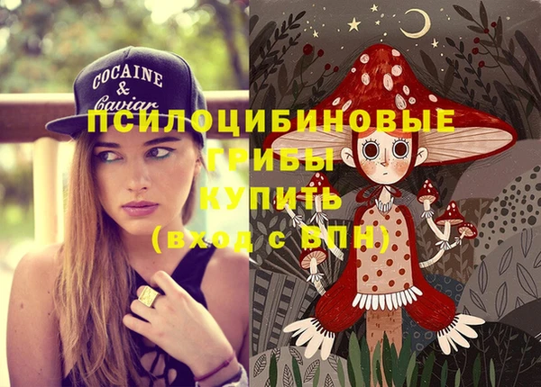гидропоника Абинск