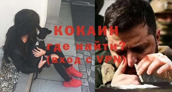 ГАЛЛЮЦИНОГЕННЫЕ ГРИБЫ Абаза